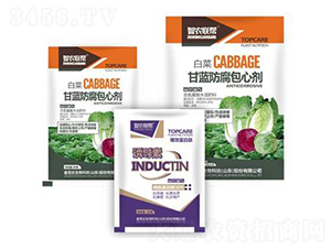 ���{�������Ą�-���_