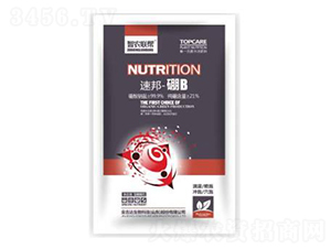 �ٰ�-��B(y��ng)-���_