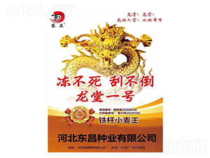 ��?zh��)�һ�?�|��