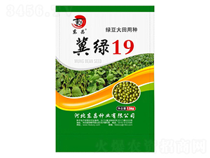 ���G19-�|��