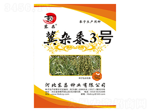 ���s��3̖-�|��