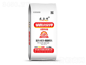 �����@�-ʢ����-ʢ�SԴ