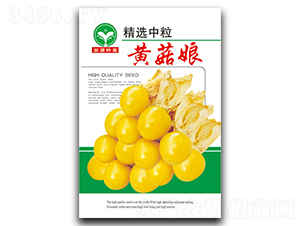 �S����-����N��-ȪԴ