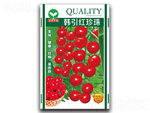 �n���t����-ʥŮ���N��-ȪԴ