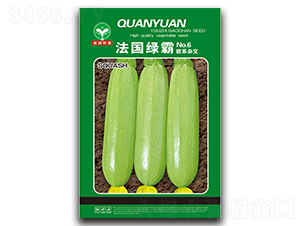 ����(gu��)�G��-�����J�N��-ȪԴ