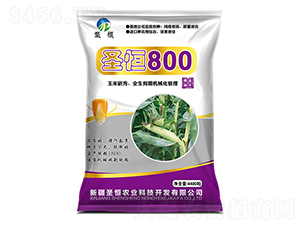 ʥ��800-�����N�I(y��)