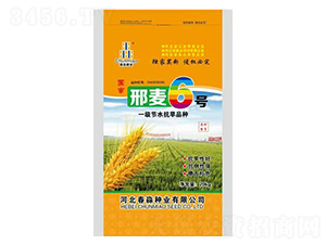 ����6̖-�����N�I(y��)