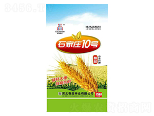 ʯ���f10̖(h��o)-�����N�I(y��)