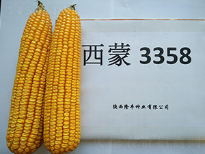 ����3358-¡�S�N�I(y��)