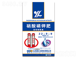 ������⛷�22-9-9-���-� ���