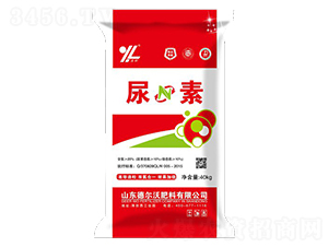 40kg����-���-� ���