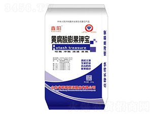 �S�������⛌�-���-��Դ�ʘI(y��)