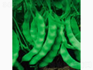 �������v�ض���-�Rɽ�N�I(y��)