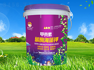 �׿���̼ø�����-��������