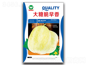 ���Ǵ�����-��ϷN��-ȪԴ