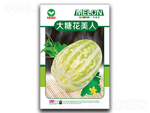 ���ǻ�����-��ϷN��-ȪԴ