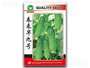 �������̖-�S�ϷN��-ȪԴ