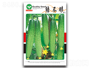 �Y(ji��)����-�S�ϷN��-ȪԴ