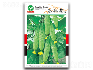 ��ſ��-�S�ϷN��-ȪԴ