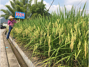 Ұ�マ(y��u)9̖(h��o)-�G���N�I(y��)