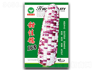 ���Ŵ168-���׷N��-ȪԴ