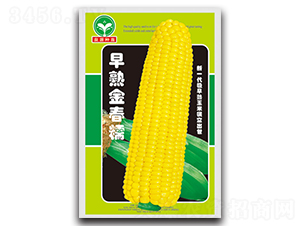 �����Ŵ-���׷N��-ȪԴ