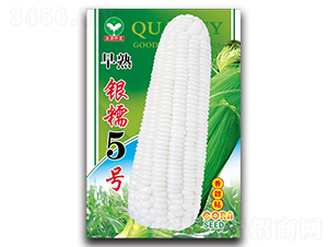 �����yŴ5̖-���׷N��-ȪԴ