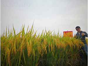 ��ռ��(y��u)8̖(h��o)-�G���N�I(y��)