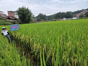 ���マ(y��u)703-�G���N�I(y��)