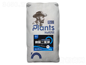 10kg��������-��Ƚ���Q(m��o)