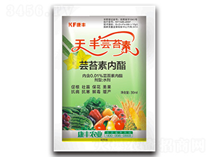 �|̦�؃�(n��i)��-���S�|̦��-���S�r(n��ng)�I(y��)