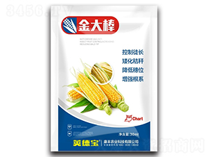 ����-�v��-���S�r�I(y��)