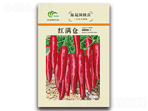 �t�M�}-�t���N��-���Ɉ@