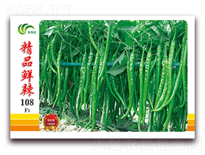 ��Ʒ�r��108-�����N��-���Ɉ@