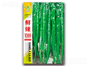 �r��1099-�����N��-���Ɉ@