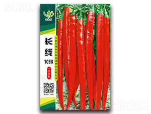 �L��1088-�����N��-���Ɉ@