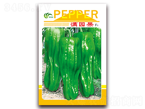 �M�@��-��Ƥ�ݽ��N��-���Ɉ@