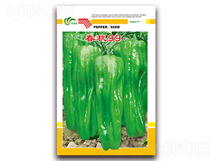 ����99-��Ƥ�ݽ��N��-���Ɉ@