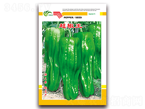 ������-��Ƥ�ݽ��N��-���Ɉ@