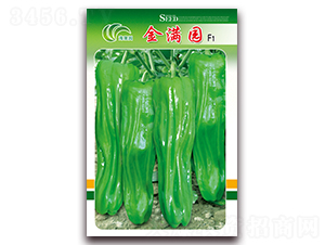 ��M�@-��Ƥ�ݽ��N��-���Ɉ@