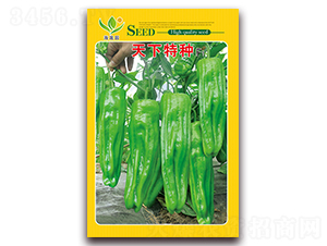 �����طN-��Ƥ�ݽ��N��-���Ɉ@