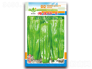 ����66-8-��Ƥ�ݽ��N��-���Ɉ@