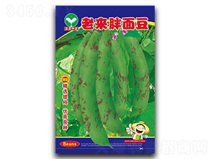 �ρ����涹-���ǷN��-ȪԴ