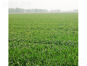 ���r(n��ng)20-�A��N�I(y��)