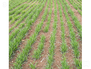 ����578-�A��N�I(y��)