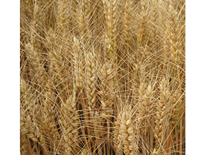 �(zh��n)��9̖-�A��N�I(y��)