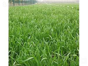 ���r(n��ng)1124-�A��N�I(y��)