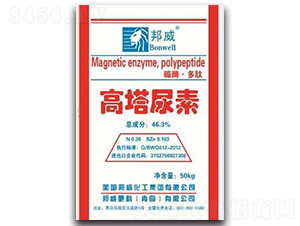 ��������-��������