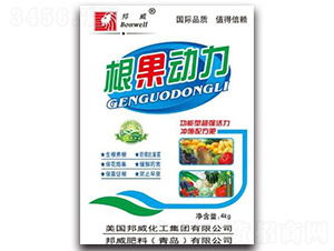 ���������_ʩ��-��������