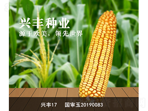 �d�S17-�d�S�N�I(y��)